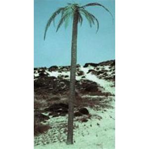 Royal Model: 1/35; palma (tronco + foglie)