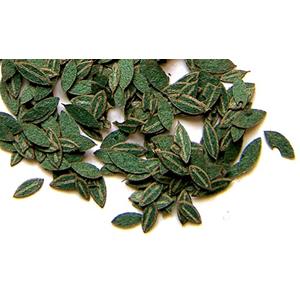 Plusmodel: 1/35; foglie verdi di ciliegio