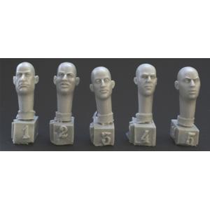 HORNET: 5 more European bald heads
