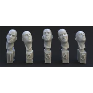 HORNET: 5 different heads, necks turned right or left